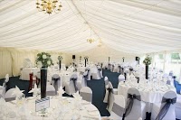 Chair Covers For Celebrations 1070810 Image 0